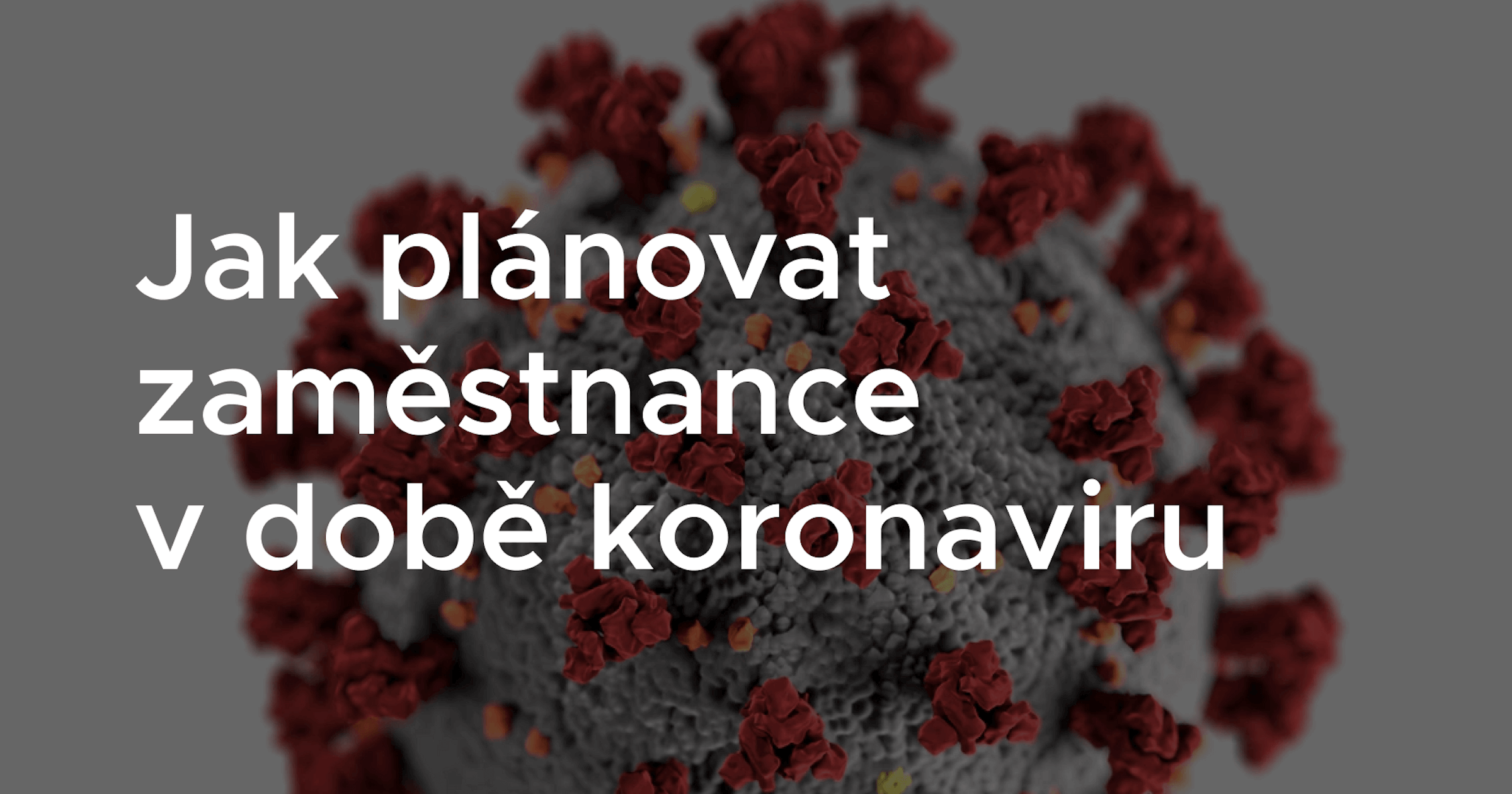Jak plánovat směny zaměstnanců v době koronaviru Směny.cz